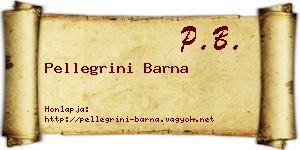 Pellegrini Barna névjegykártya